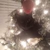 reginablack787